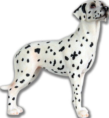 Dalmatier 14,5 x 5 x 14 cm (lxbxh)