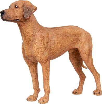 Ridgeback 18 x 6 x 16 cm (lxbxh)