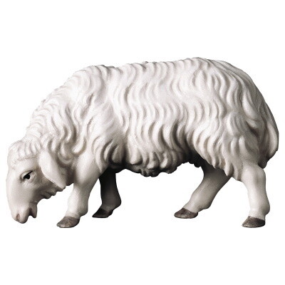 Schaap voor 15 cm figuren gekleurd