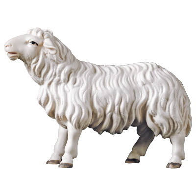 Schaap voor 15 cm figuren gekleurd