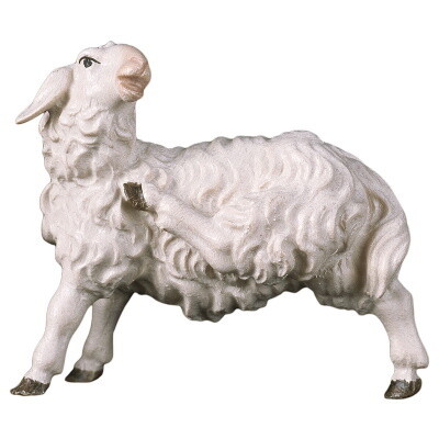 Schaap voor 15 cm figuren gekleurd