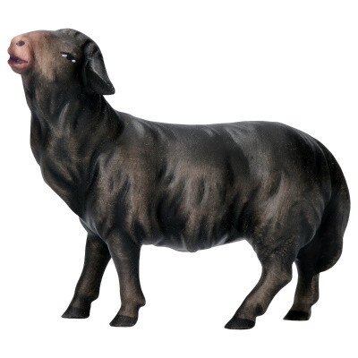 Schaap 12 cm houtsnijwerk  "wasserfarbe" gekleurd