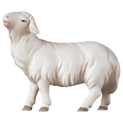 Schaap 12 cm houtsnijwerk  &quot;wasserfarbe&quot; gekleurd