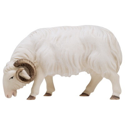 Schaap 12 cm houtsnijwerk  &quot;wasserfarbe&quot; gekleurd