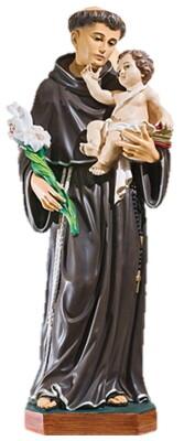 Antonius 80cm