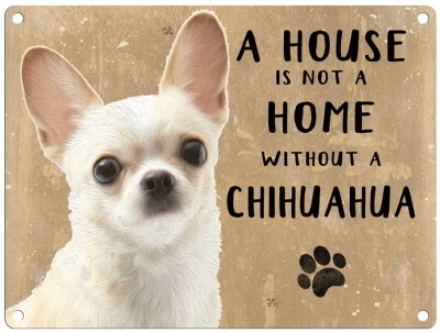 CHIHUAHUA licht metal sign 30 cm x 40 cm