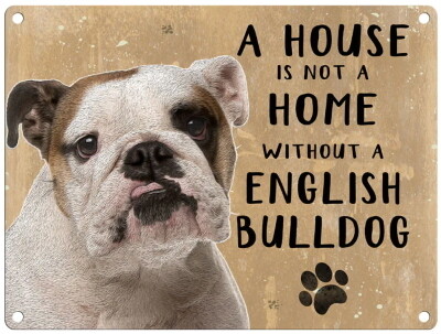 ENGELSE BULLDOG metal sign 30 cm x 40 cm