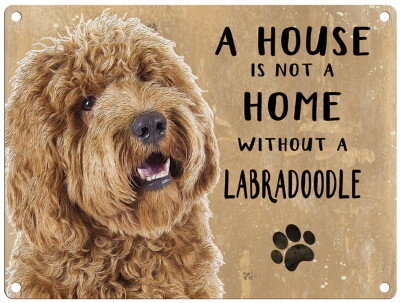 LABRADOODLE licht metal sign 30 cm x 40 cm