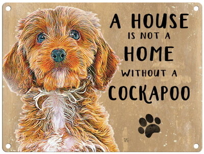 COCKAPOO licht metal sign 30 cm x 40 cm