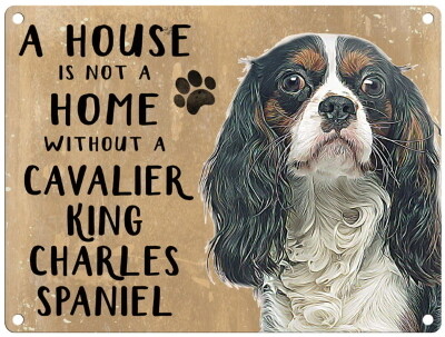 CAVALIER KING CHARLES metal sign 30 cm x 40 cm