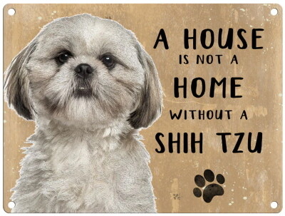 SHIH-TZU metal sign 30 cm x 40 cm
