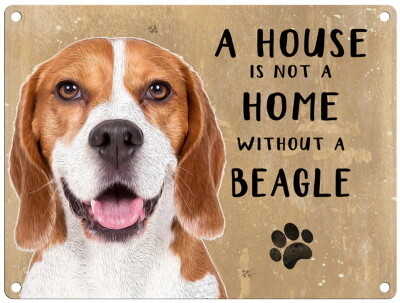 BEAGLE metal sign 30 cm x 40 cm