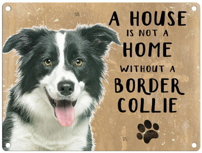 BORDER COLLIE metal sign 30 cm x 40 cm