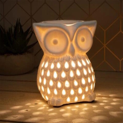 Brander voor olie 18 cm 220V