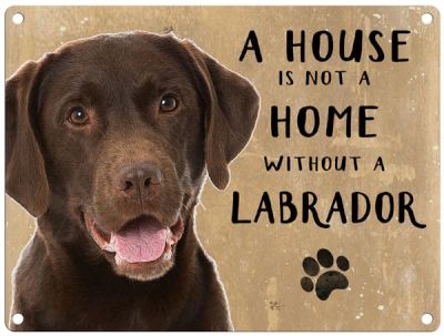 LABRADOR BRUIN metal sign 30 cm x 40 cm LABRADOR BRUIN metal sign 30 cm x 40 cm