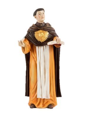 Thomas van Acquino 20 cm