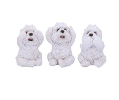 Set Horen, Zien en Zwijgen - WESTIES -
