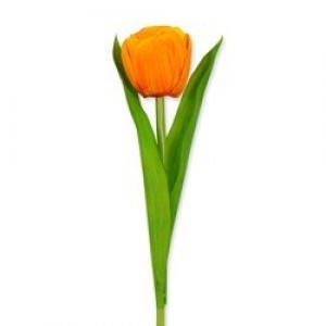 Oranje kunst tulp - Huisvaasje