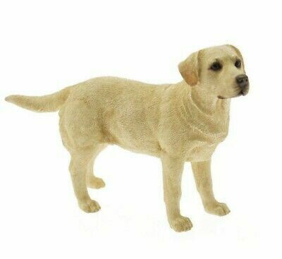 Labrador Beige 12 cm Labrador Beige 12 cm