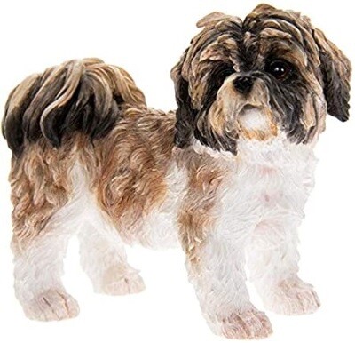 Shih Tzu Bruin 10 x 5 x 8 cm
