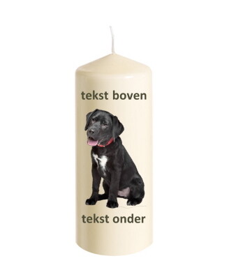 Kaars  Ø 8 cm x 20 - 25 cm EIGEN AFBEELDING