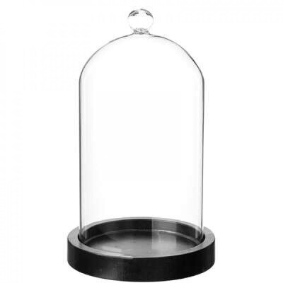 Glazen stolp met top, inclusief voet, 10 x 15 cm Glazen stolp met top, inclusief voet, 10 x 15 cm