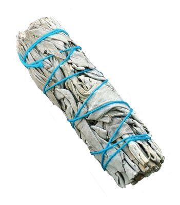 Witte Salie 35-40 gr BUNDLE 11 cm