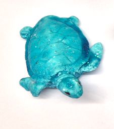 WEERBEELDJE -SCHILDPAD