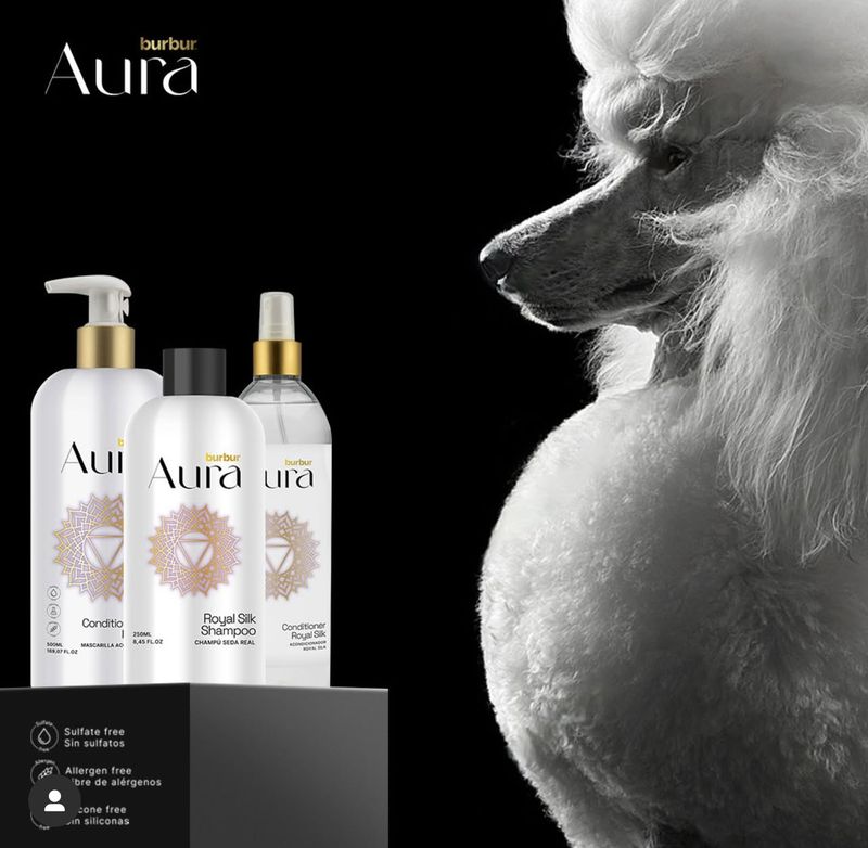 Aura by Burbur
