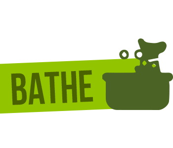 Bathe