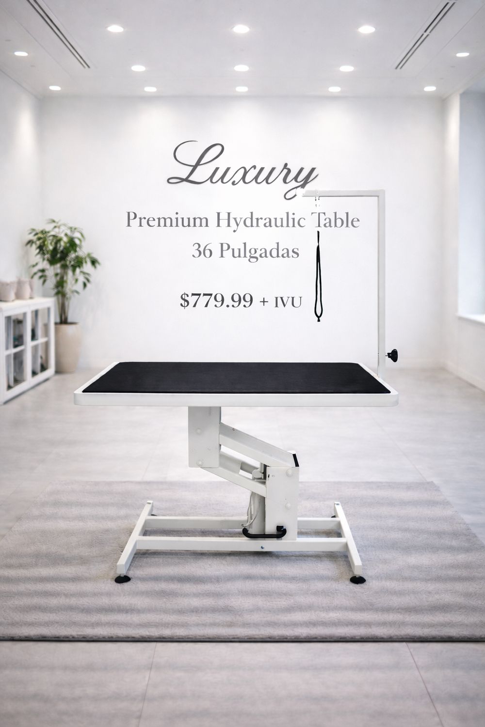 Hydraulic Table 36”x24”
