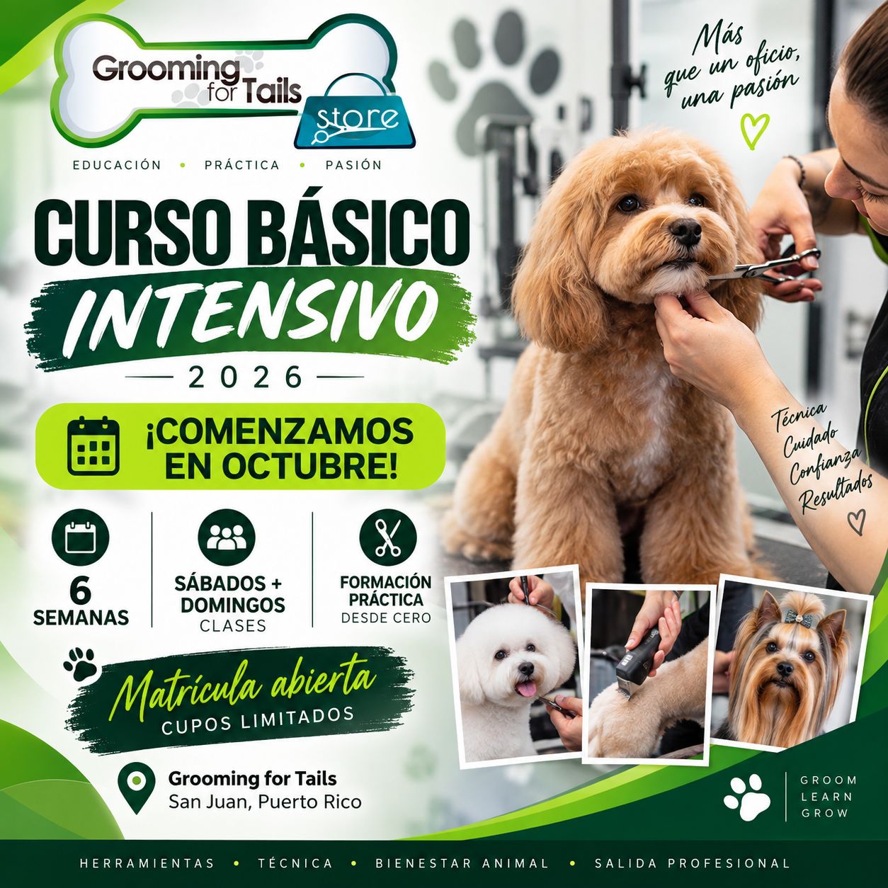 Curso Basico Pet Grooming 2026