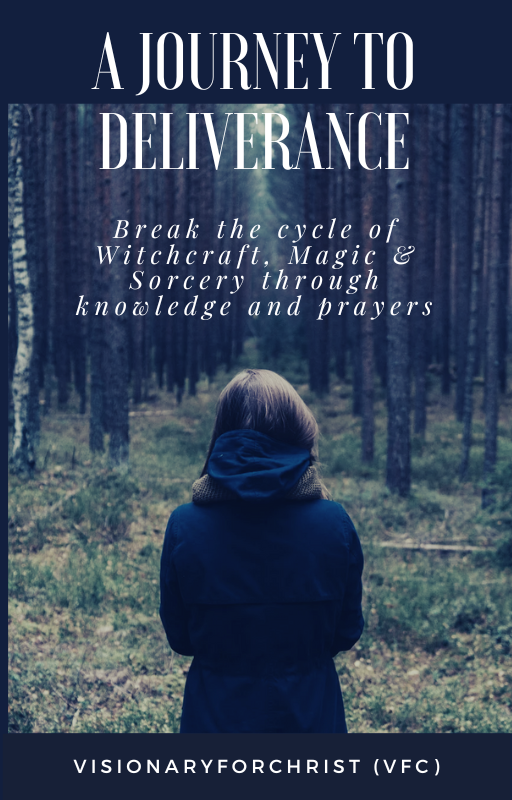 Bundle Price, A Journey to Deliverance by VfC (Ebook+Audiobook)