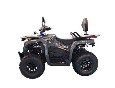 ​Квадроцикл SokMoto TERRA X 250cc