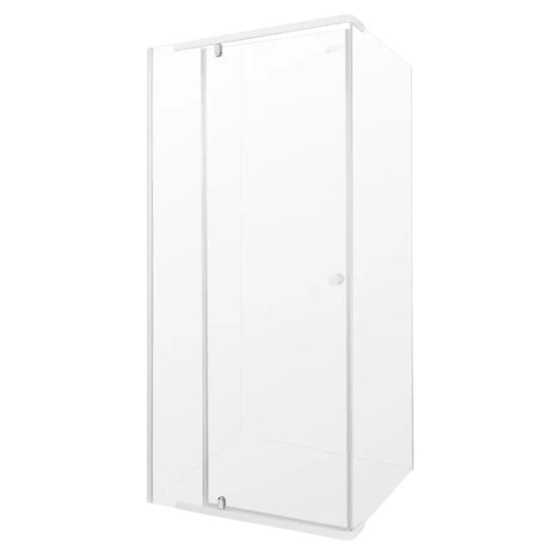 Shower Door Pivot &amp; Panel 900