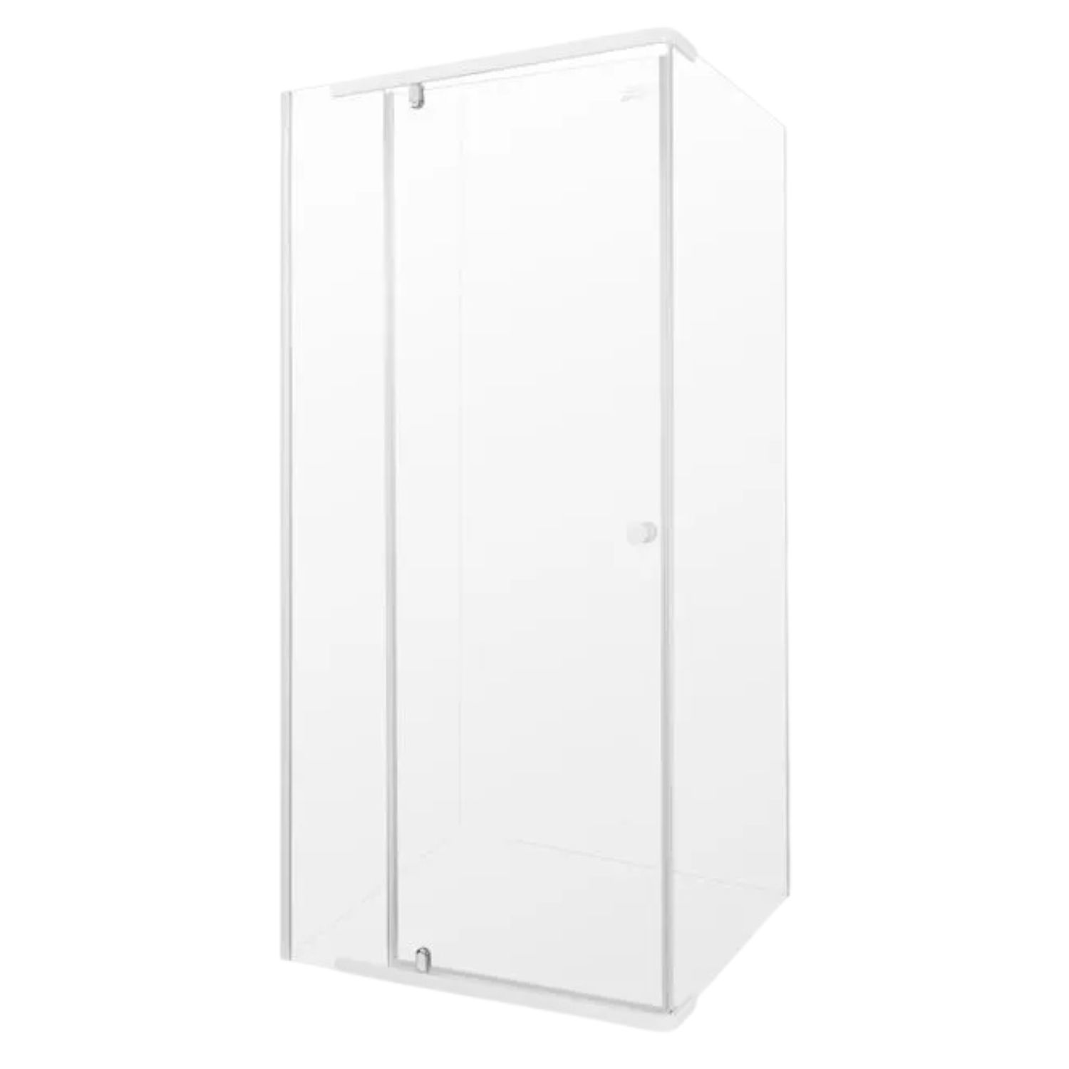 Shower Door Pivot &amp; Panel 1m