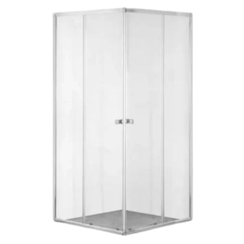 Shower Door Corner Entry 900