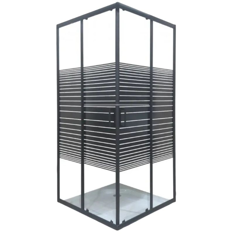Shower Door Corner Entry Black Lines 900