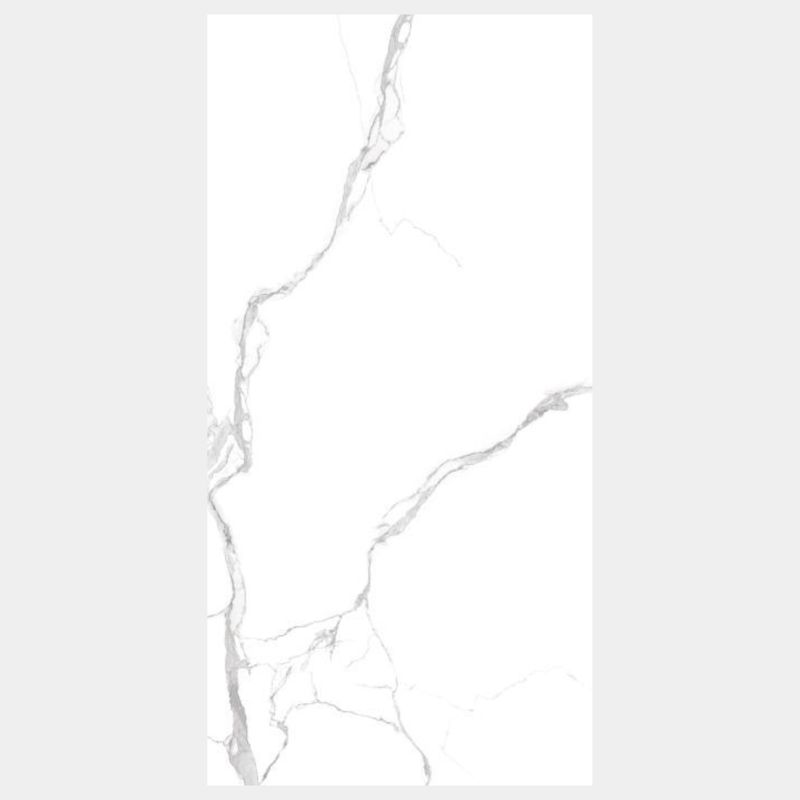 600 x 1200mm Porcelain Gloss Tiles 1.44m² (MRP612002Z)