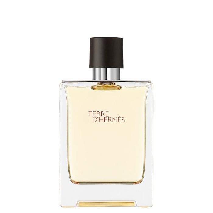 HERMÈS - Terre D&#39;Hermès - Eau de Toilette | 100 mL