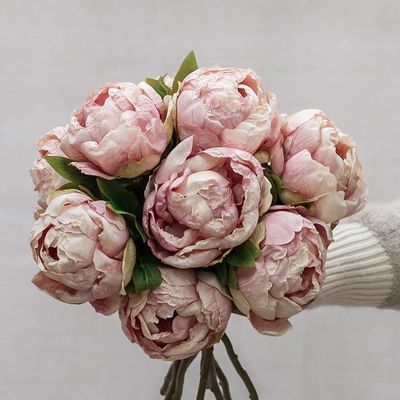 Dried Peony Heads