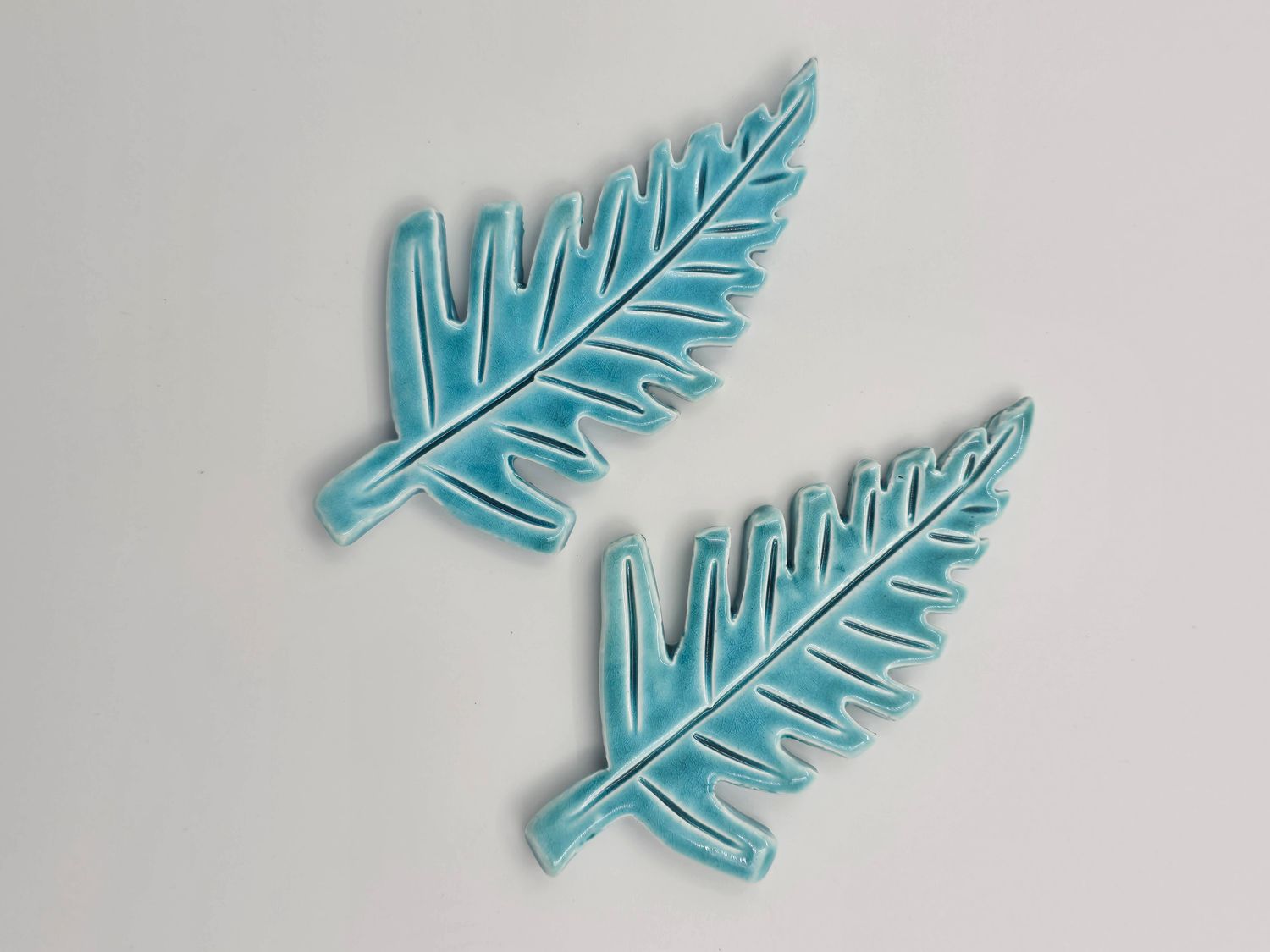 Fern
