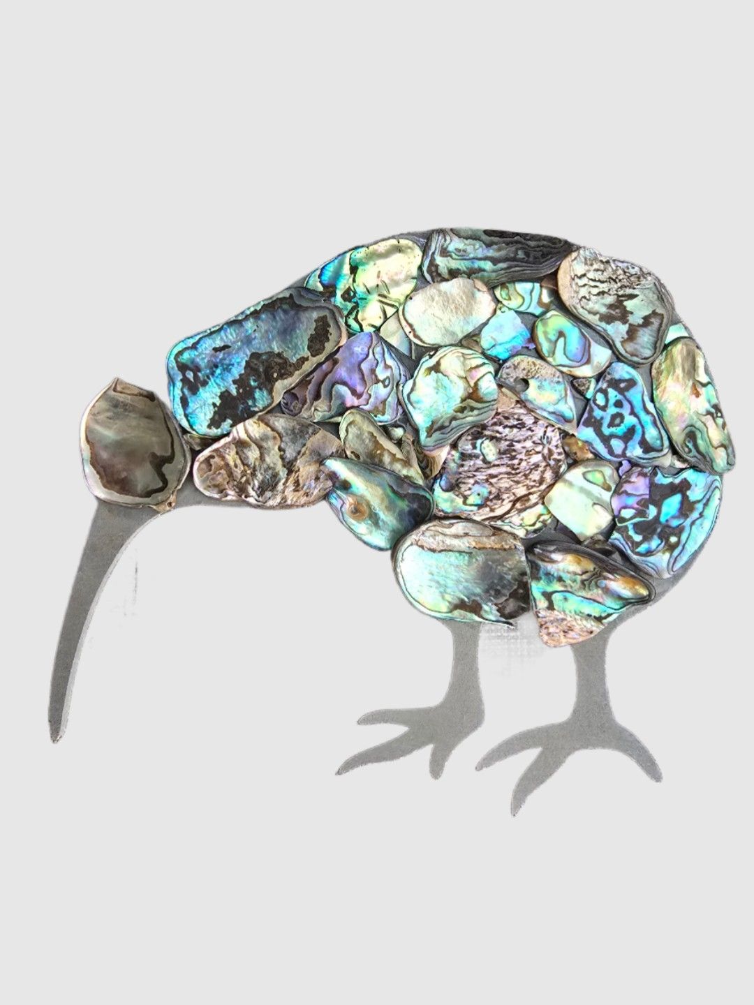 Paua shell Kiwi
