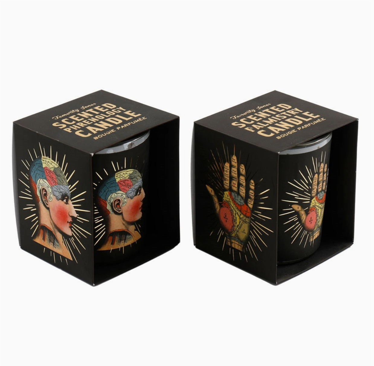 Phrenology &amp; Palmistry Boxed Candle
