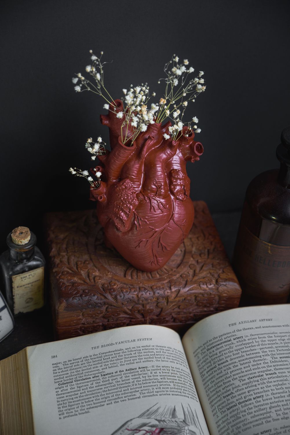 Anatomical Heart Vase