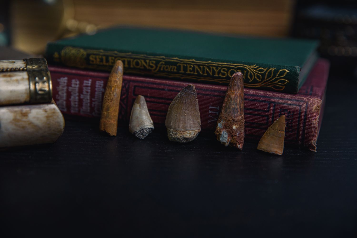 Dinosaur Teeth