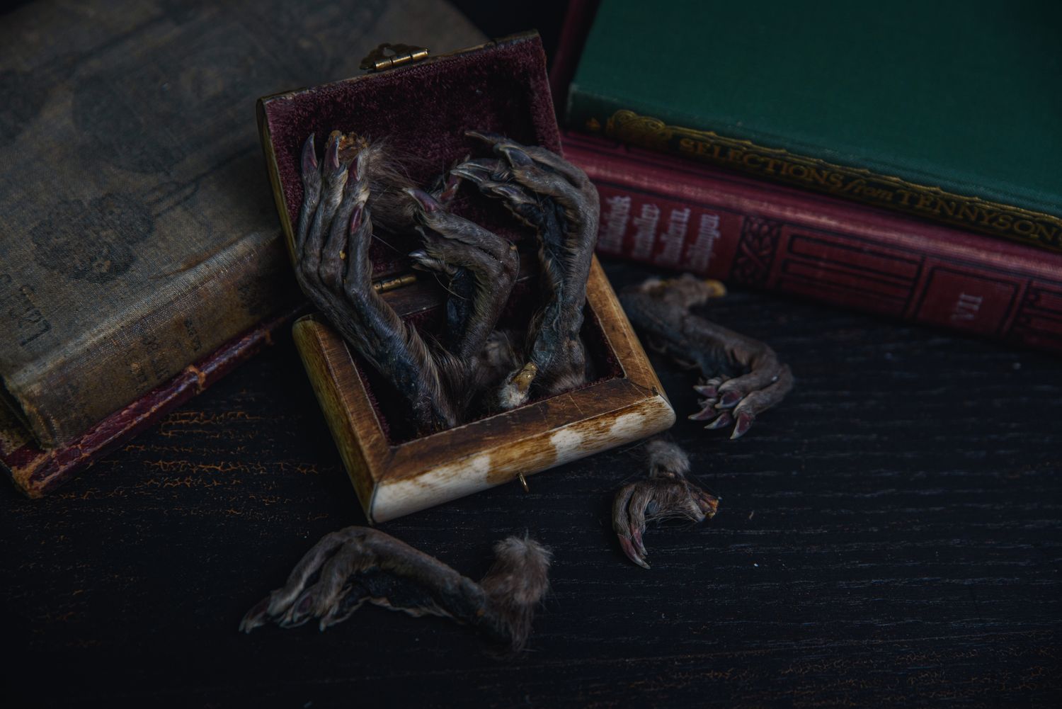 Muskrat Feet