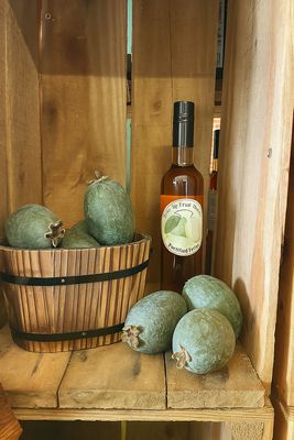 Fortified Feijoa