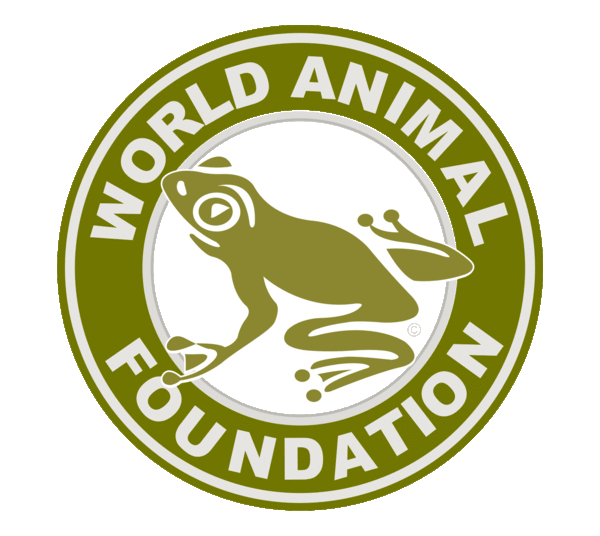 World Animal Foundation