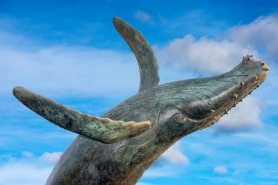 Adopt A Whale